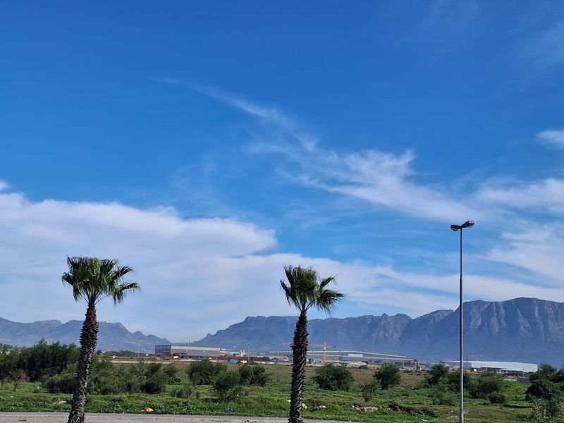 A scenic landscape view featuring palm trees, open agricultural land, and distant mountain ranges under a clear blue sky.