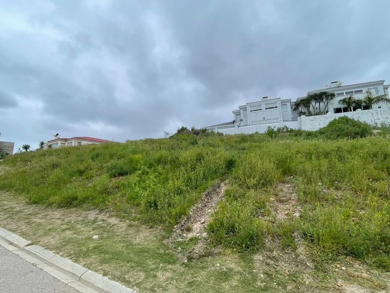 A sloped, vacant residential plot featuring overgrown grass and natural terrain, situated in a developed neighborhood with established homes visible in the background.