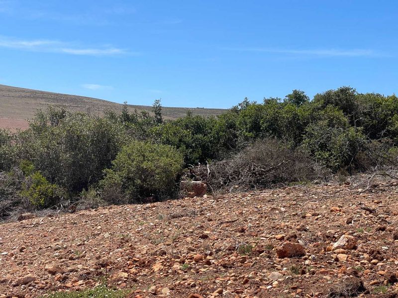 625m2 Vacant Stand For Sale in Hartland Lifestyle Estate - Exclusive Opportunity - Photo 7