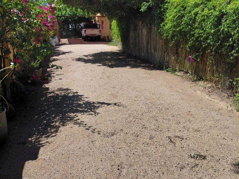 A gravel driveway leading to the property entrance, bordered by mature trees and natural reed fencing.