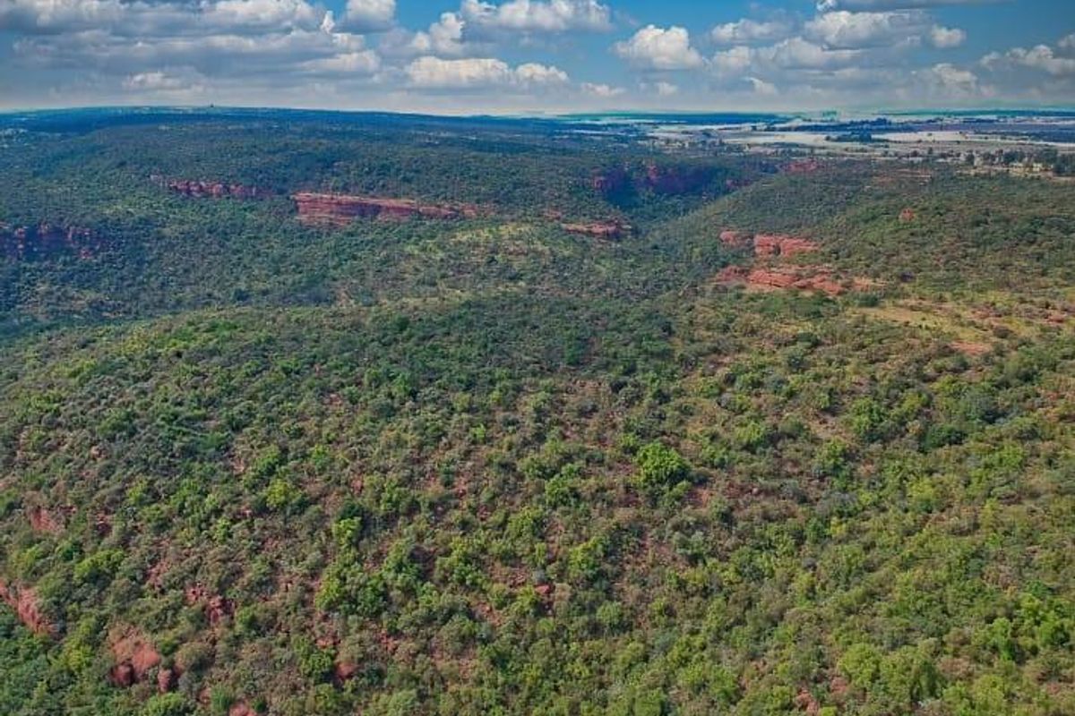 Vacant Land De Tweedespruit Cullinan - Photo 3