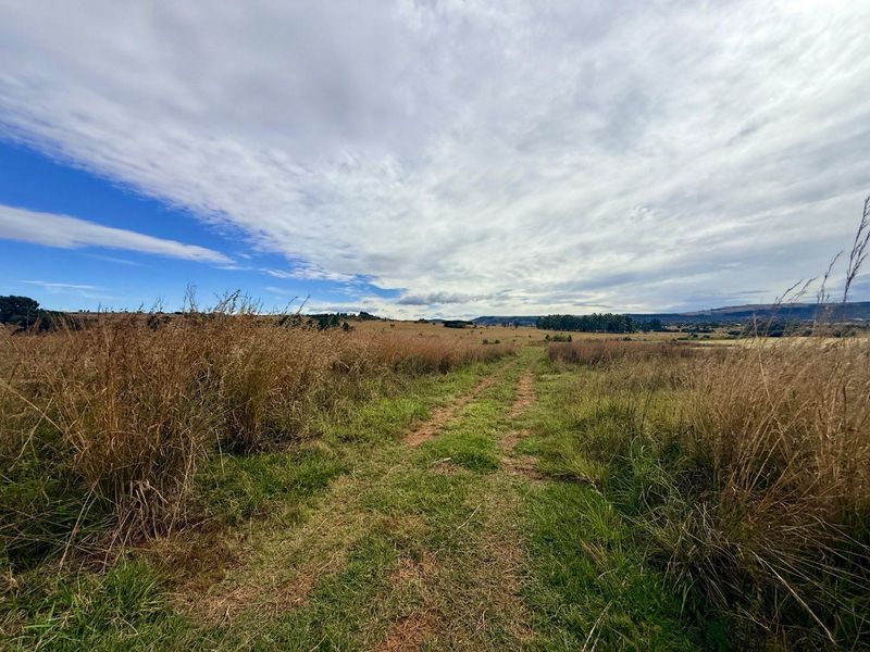 Small holding For sale in vryheid - Photo 4