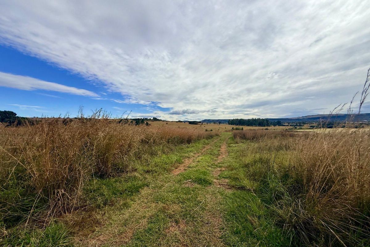 Small holding For sale in vryheid - Photo 4