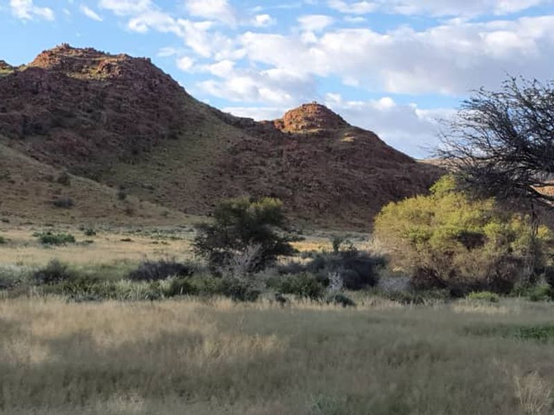 Farm, Wildlife & Serenity close to Helmeringhausen - Photo 5