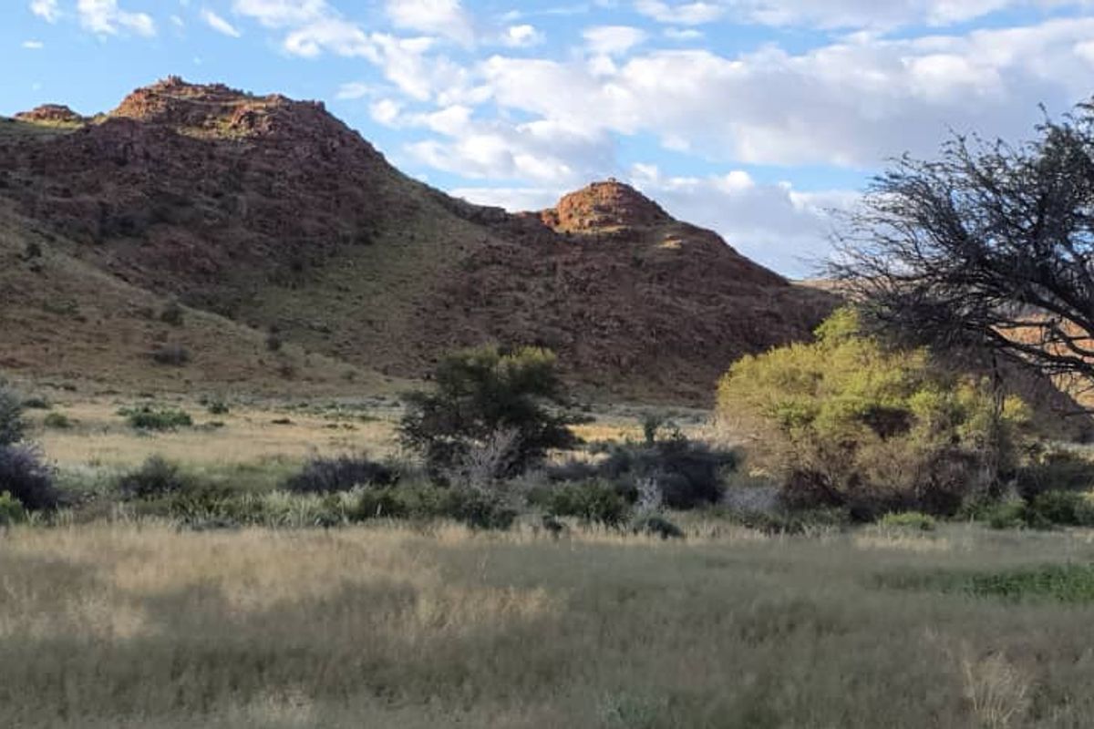 Farm, Wildlife & Serenity close to Helmeringhausen - Photo 5
