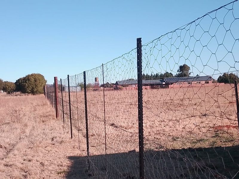 SMALL HOLDING.PROPARTY SURROUND BY 1.8METER GAME FENCE. - Photo 6