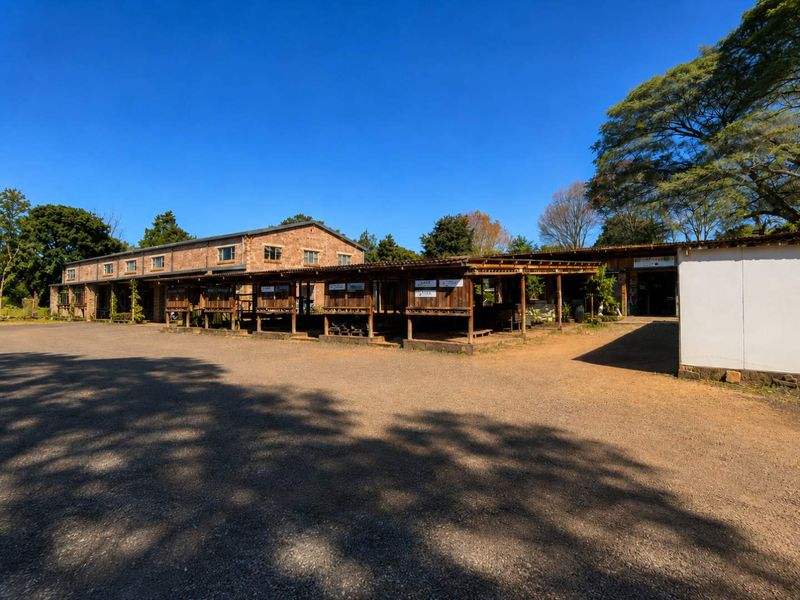 Retail Shop To Let – 56m2 Rustic Space in Prime Botha’s Hill Location - Photo 9