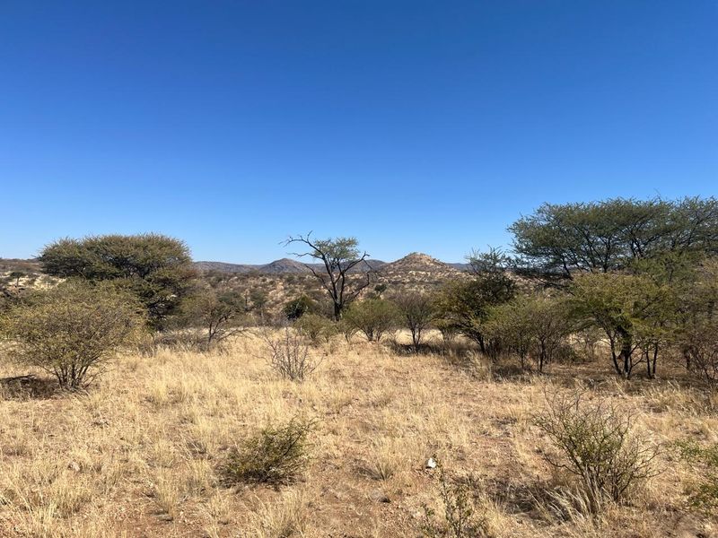 A scenic view of the natural landscape featuring indigenous trees and distant hills on this vacant residential property.