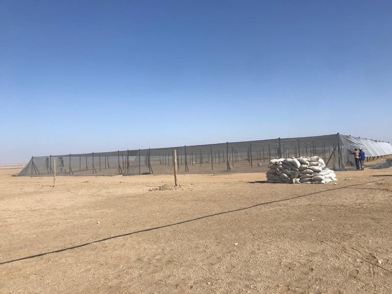 Agricultural land for sale - Swakop River Plots - Photo 3