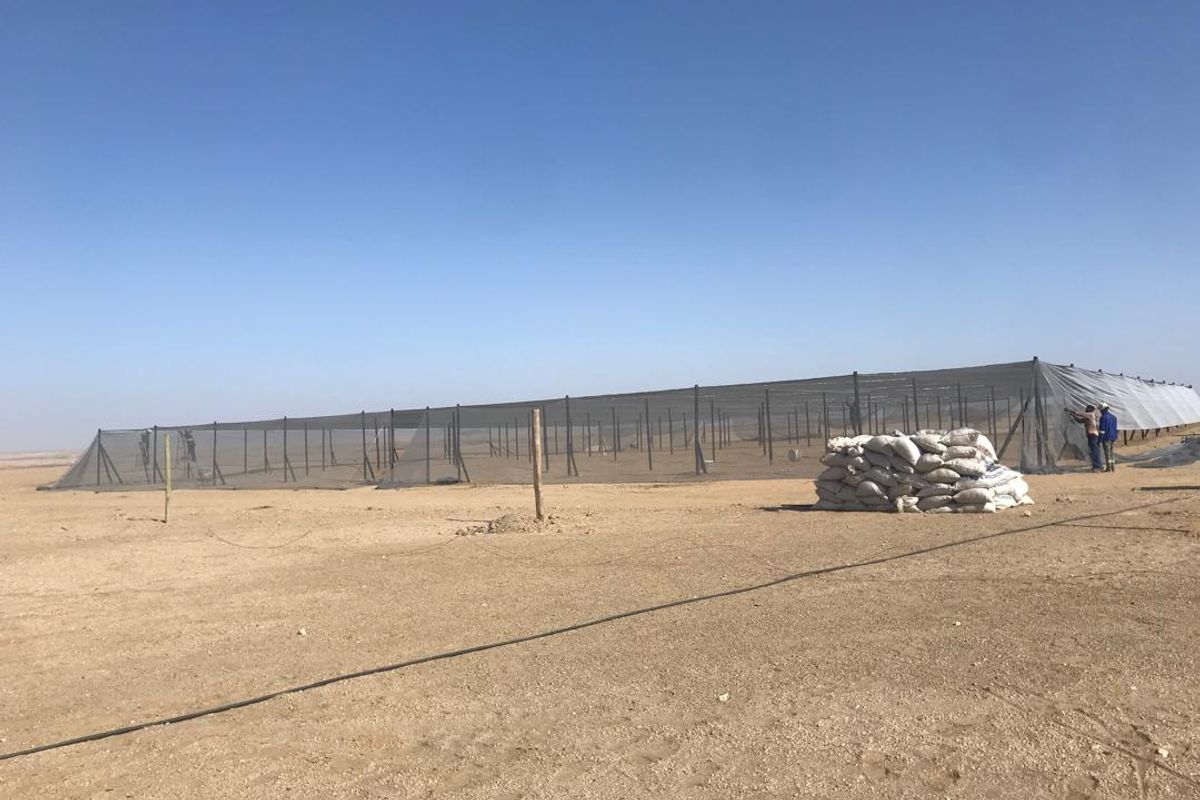 Agricultural land for sale - Swakop River Plots - Photo 3