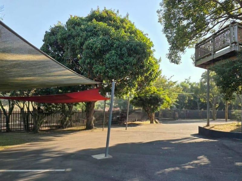 Spacious outdoor area featuring a paved driveway, shade sail covering, and a unique elevated treehouse structure set within a landscaped garden.