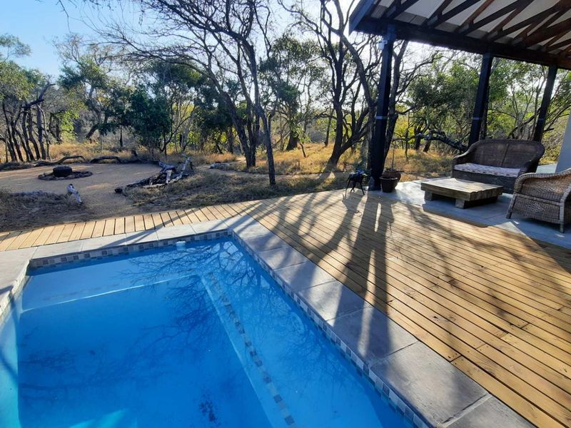 Outdoor pool area featuring timber decking, a covered patio with exposed roof beams, and a natural bushveld outlook.