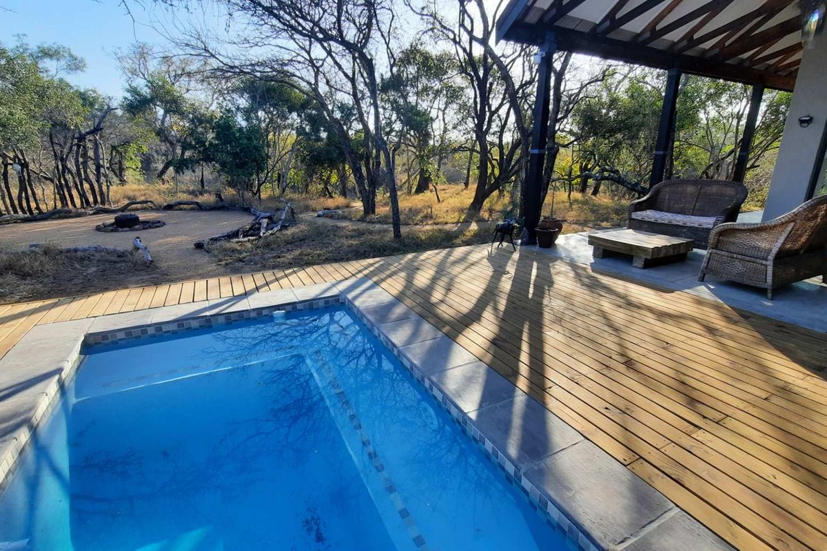 Outdoor pool area featuring timber decking, a covered patio with exposed roof beams, and a natural bushveld outlook.
