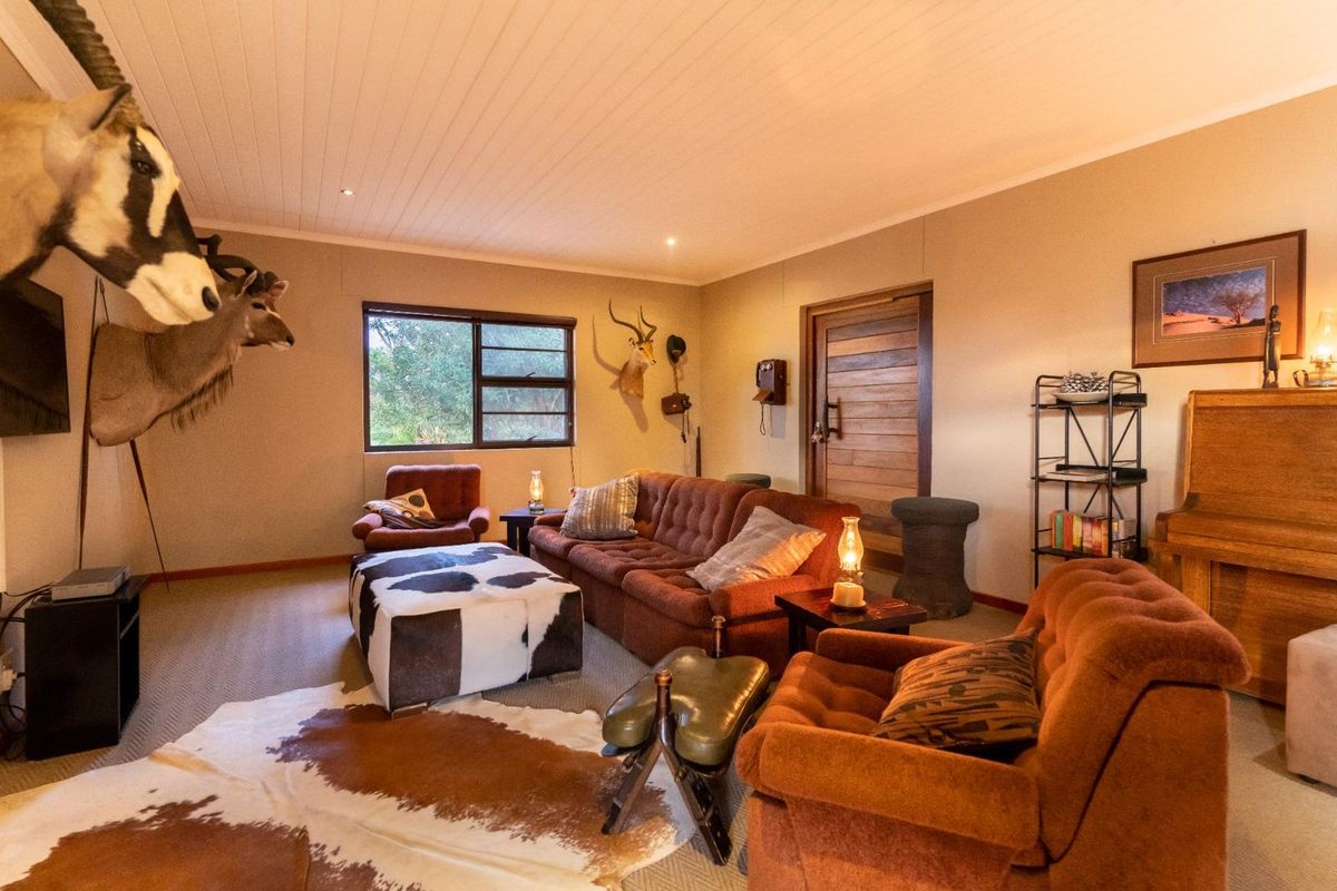 A rustic living room featuring a timber door, large window, and tongue-and-groove ceiling, creating a warm and inviting atmosphere.