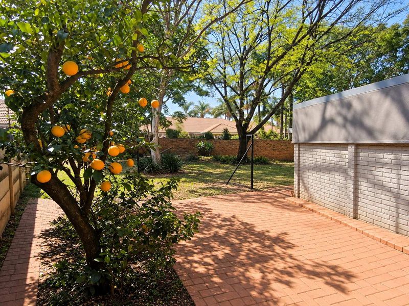 A well-maintained rear garden featuring brick paving, a mature citrus tree, and a solid brick boundary wall providing privacy.