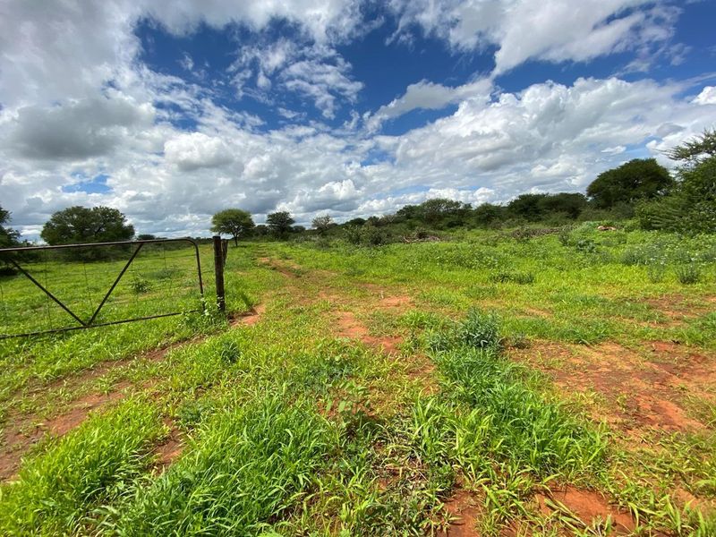 An expansive open field on a small holding, featuring natural vegetation, a metal farm gate, and clear sky views.