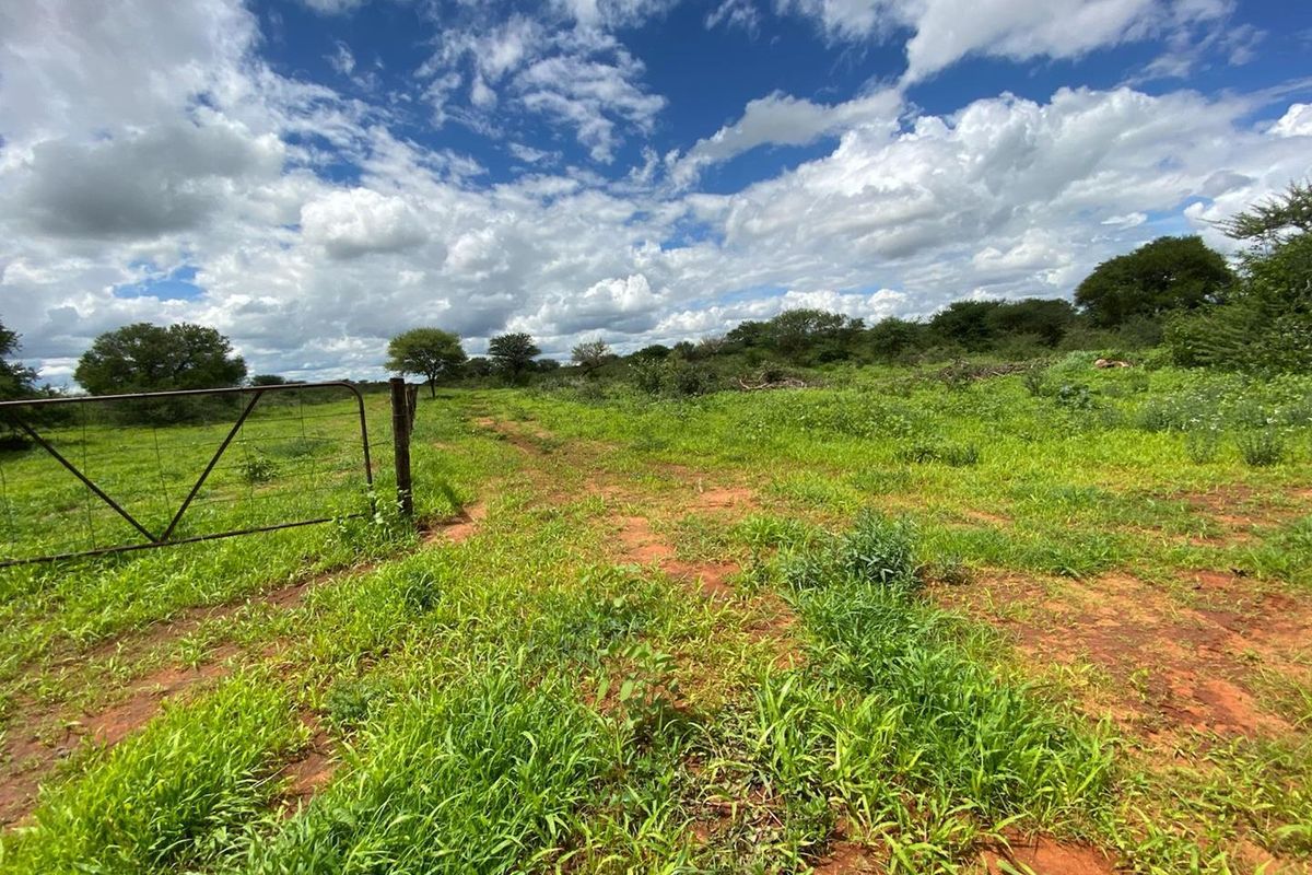 An expansive open field on a small holding, featuring natural vegetation, a metal farm gate, and clear sky views.