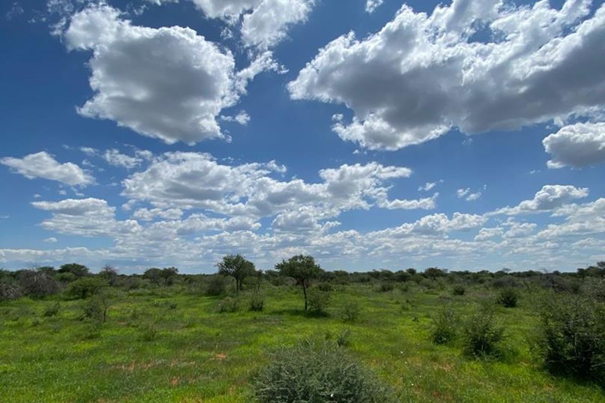 A scenic view of the open natural landscape and indigenous vegetation on the small holding property under a clear blue sky.