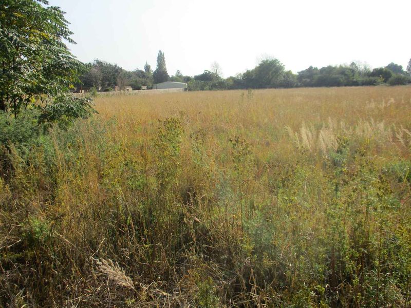 Enjoy the tranquility of Henley - Photo 5