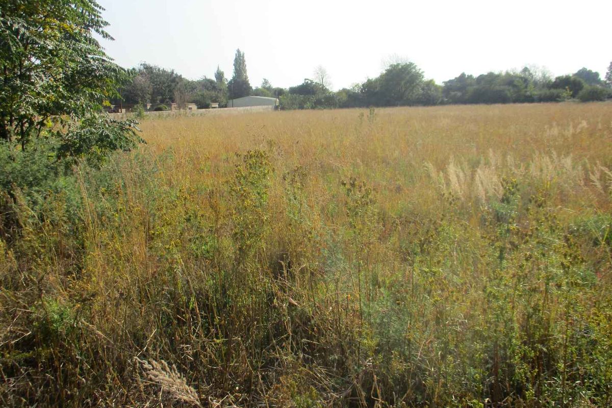 Enjoy the tranquility of Henley - Photo 5