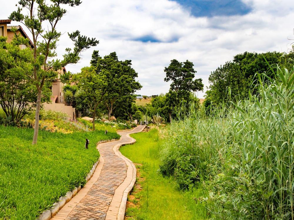 pathway in the estate