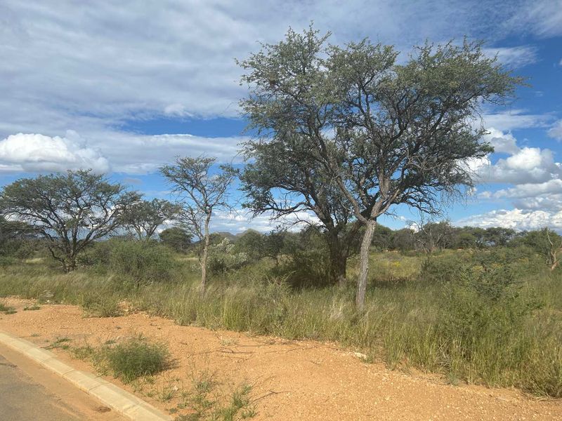 A view of the vacant residential land from the adjacent paved street, featuring natural vegetation and established trees.