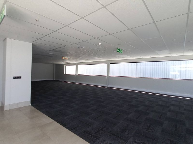 Spacious open-plan industrial office area featuring a suspended ceiling, recessed lighting, and large windows providing ample natural light.