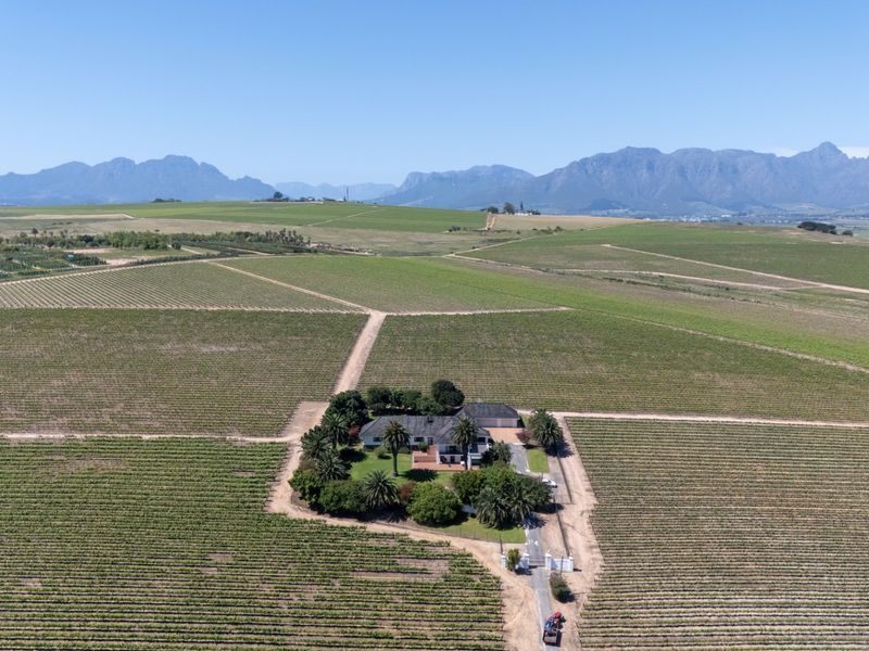 Aerial view of a sprawling farm property featuring extensive vineyards, mature landscaping, and a central residential homestead set against a mountain backdrop.
