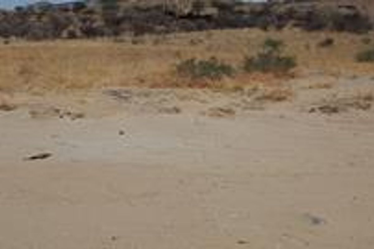 A view of the vacant commercial land featuring natural terrain and dry vegetation.