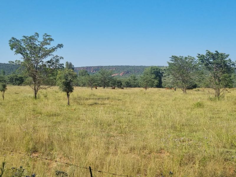 Vacant Land De Tweedespruit Cullinan - Photo 9