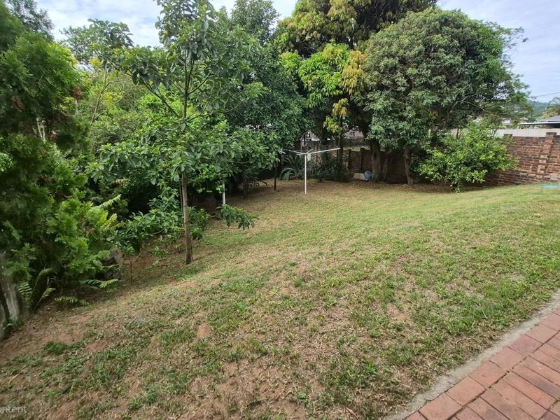 A sloped backyard garden featuring established trees, a brick boundary wall, and a paved walkway area.