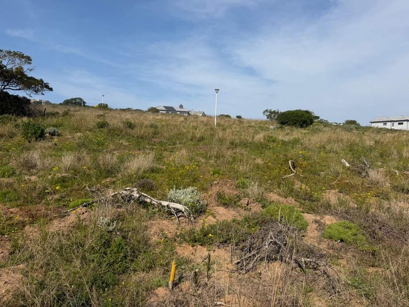 A view of a vacant residential plot featuring natural vegetation and a gentle slope, suitable for future development.