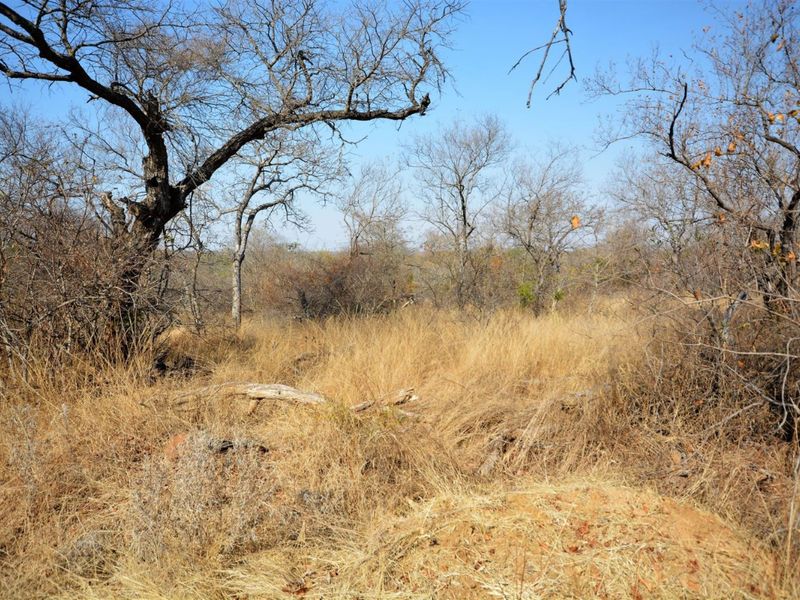Vacant Land in MODITLO NATURE RESERVE - Photo 3