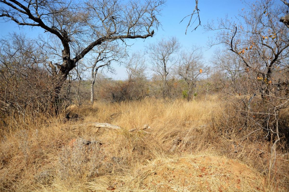 Vacant Land in MODITLO NATURE RESERVE - Photo 3