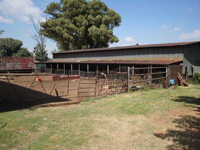 Irrigation farming in Meyerton - Photo 5