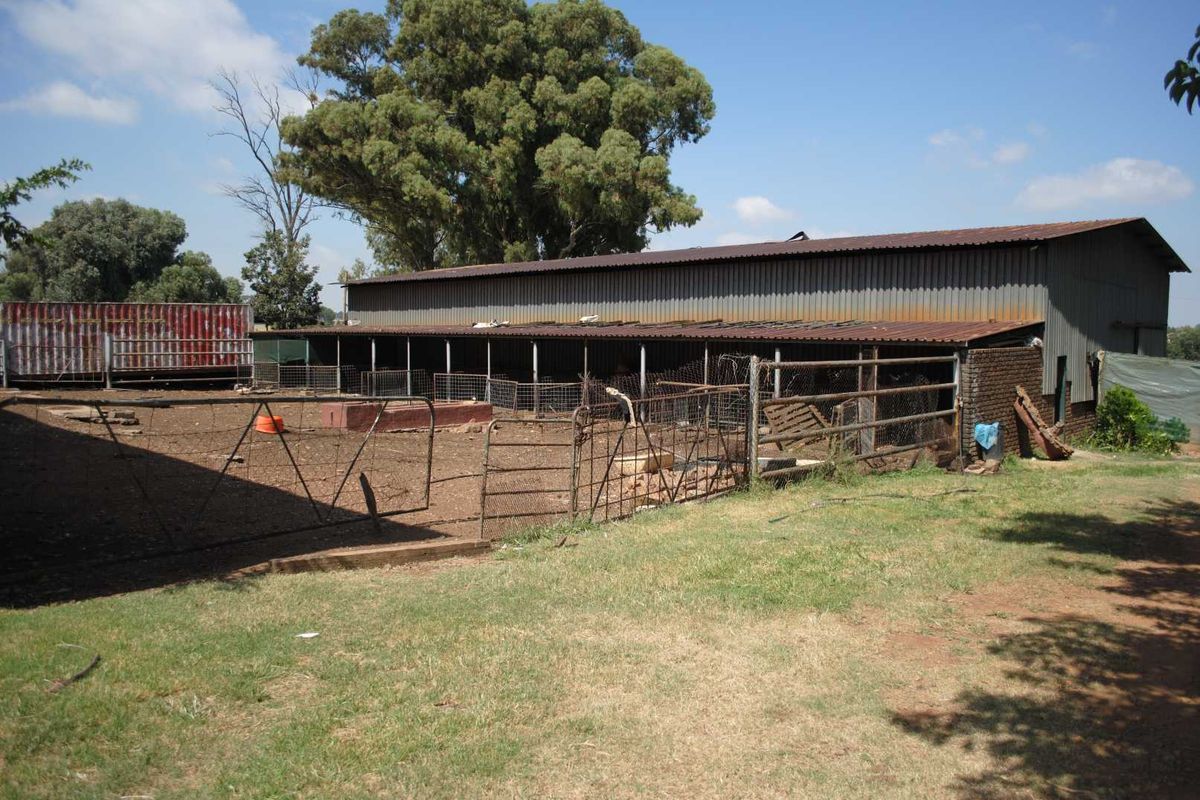 Irrigation farming in Meyerton - Photo 5
