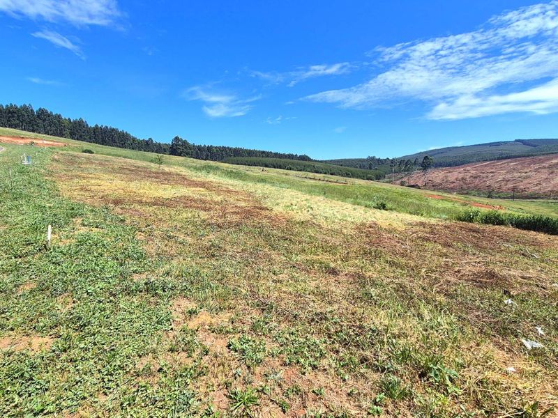 Vacant Residential Land for Sale in St John’s Village Estate, The Pinelands – Howick - Photo 9