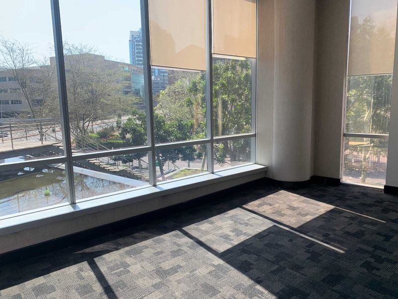 A bright, empty office space featuring large floor-to-ceiling windows with roller blinds, carpeted flooring, and a view of the surrounding area.