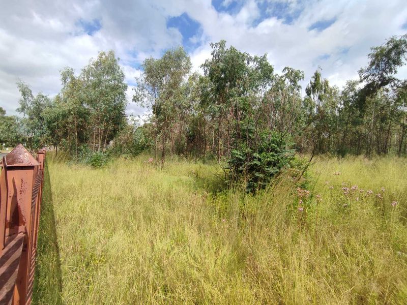 Eldoraigne - large stand for sale next to an eldo estate - Photo 3