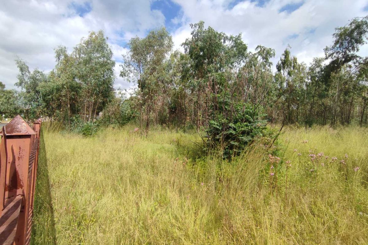 Eldoraigne - large stand for sale next to an eldo estate - Photo 3
