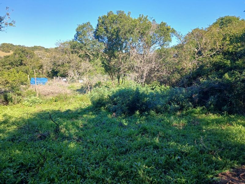 Your Quiet Corner of Bathurst, where Farmland Meets Freedom. - Photo 4