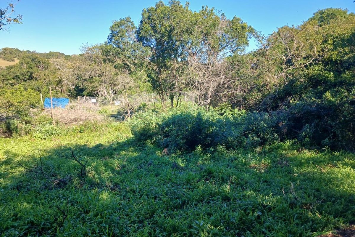 A view of a vacant residential plot featuring natural vegetation, mature trees, and existing perimeter fencing.