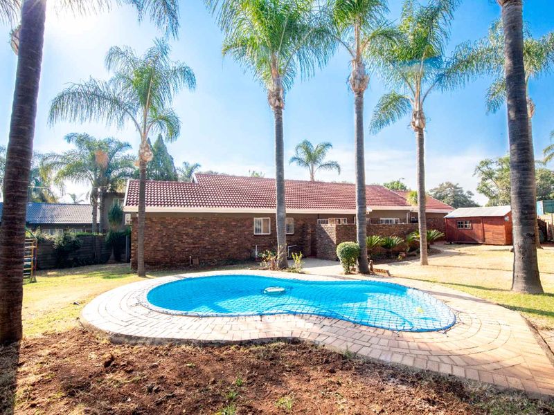Rear garden area featuring a swimming pool with a safety net, surrounded by brick paving and mature palm trees.