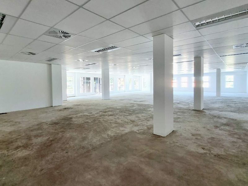 Commercial building 1,114.91m2 Florida Road asset for sale | Part tenanted, part vacant | Signage, parking & prime positioning included - Photo 4