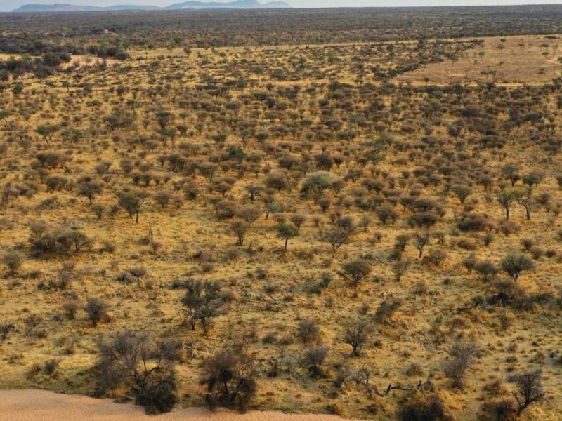 Prime Agricultural & Lifestyle Plot for Sale – Arbeidskroon (Plot 374) - Photo 7