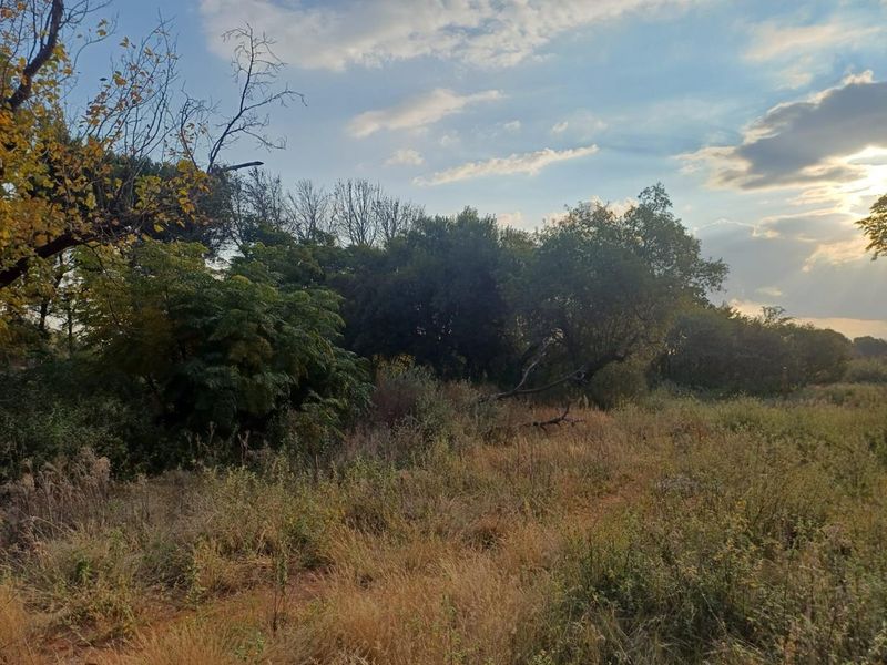 SMALL HOLDING. LANGENHOVENPARK.BEAUTIFUL TREES. EXCELLENT BUY. - Photo 5
