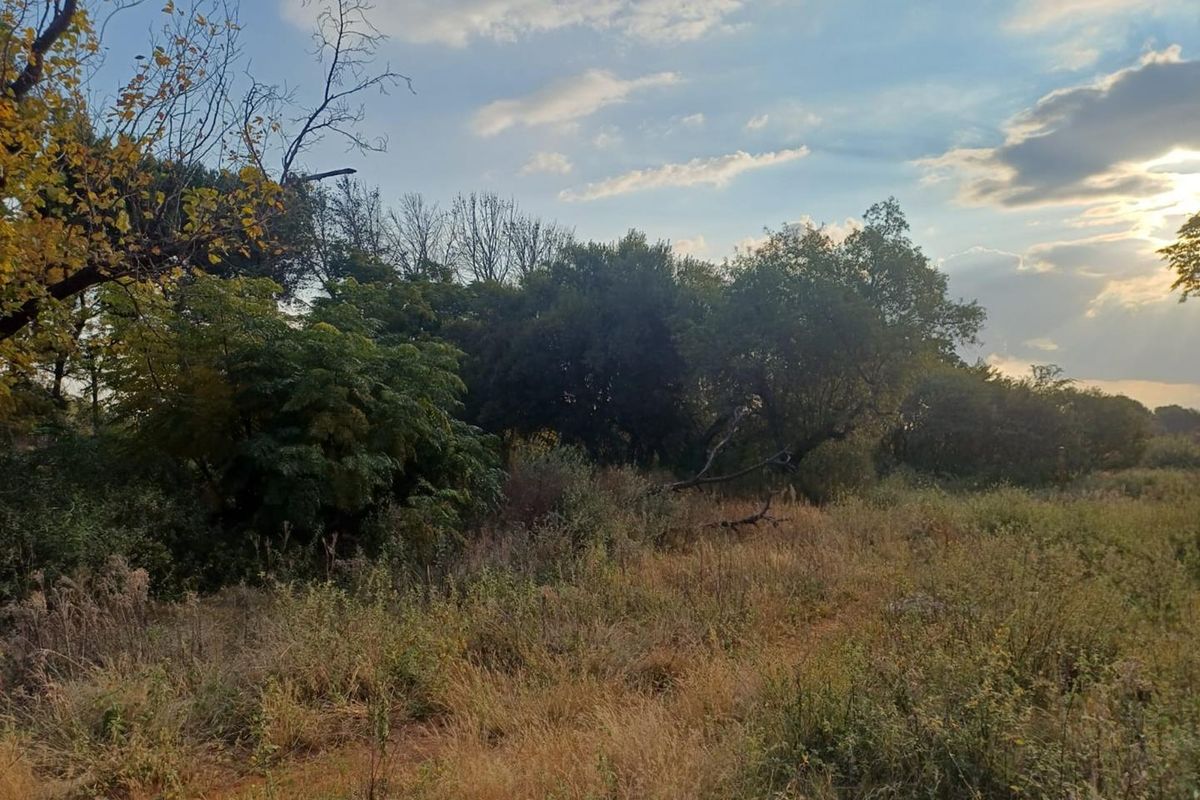 SMALL HOLDING. LANGENHOVENPARK.BEAUTIFUL TREES. EXCELLENT BUY. - Photo 5