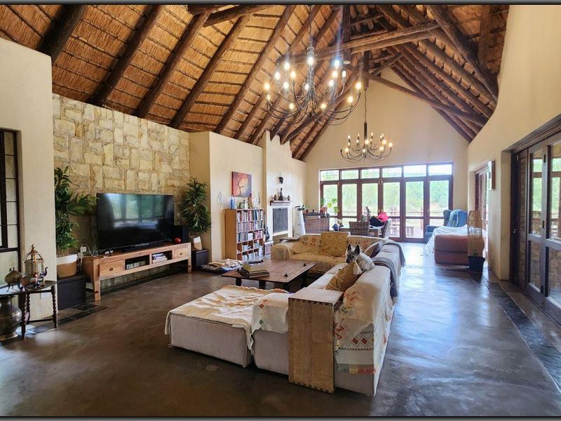 Spacious living area featuring a high vaulted thatched ceiling with exposed timber trusses, stone feature wall, polished concrete floors, and large glass doors.