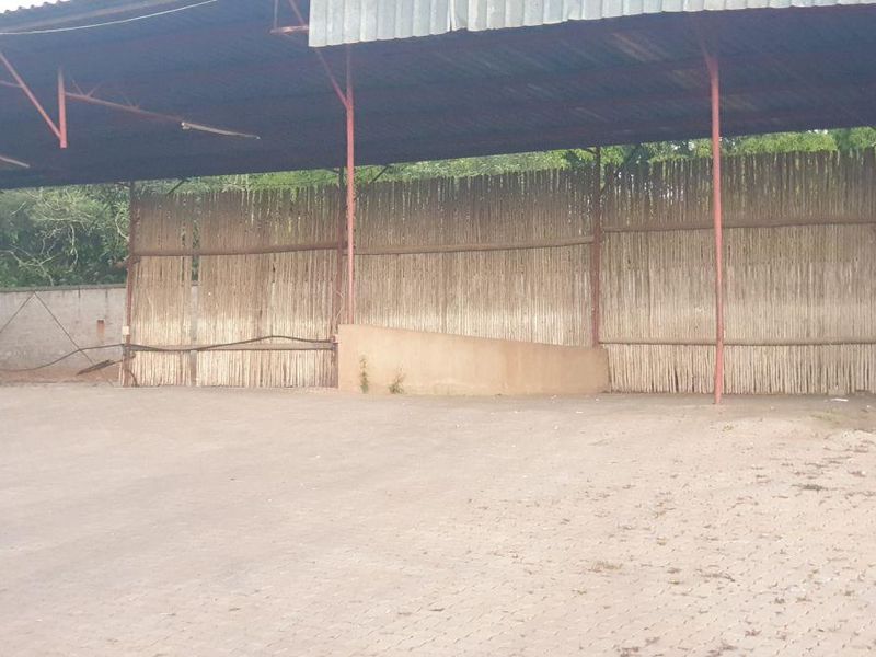 Warehouse, office and yard space for rent - Photo 6