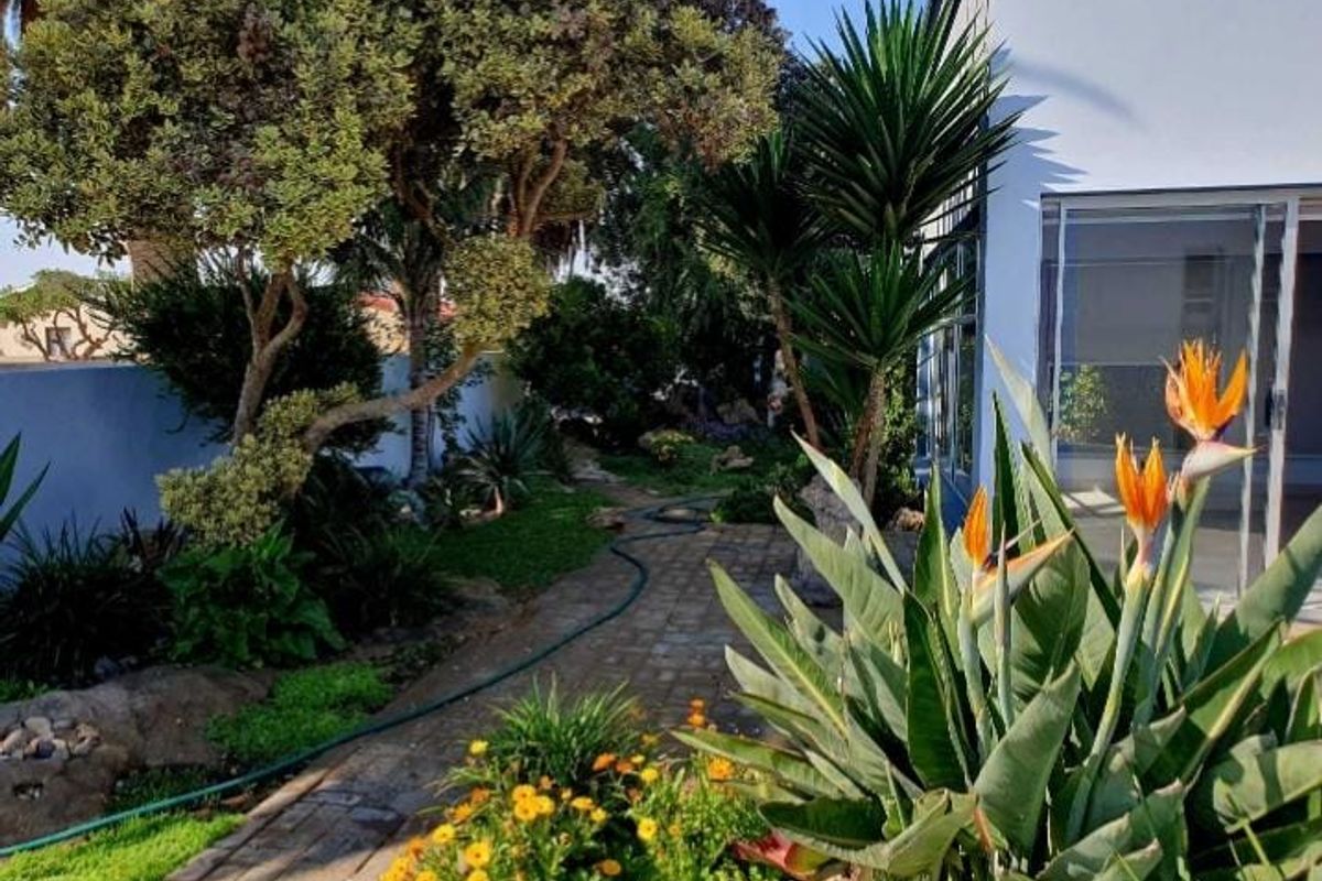 Newly Renovated 6-Bedroom Home for Sale in Henties Bay Central - Photo 4